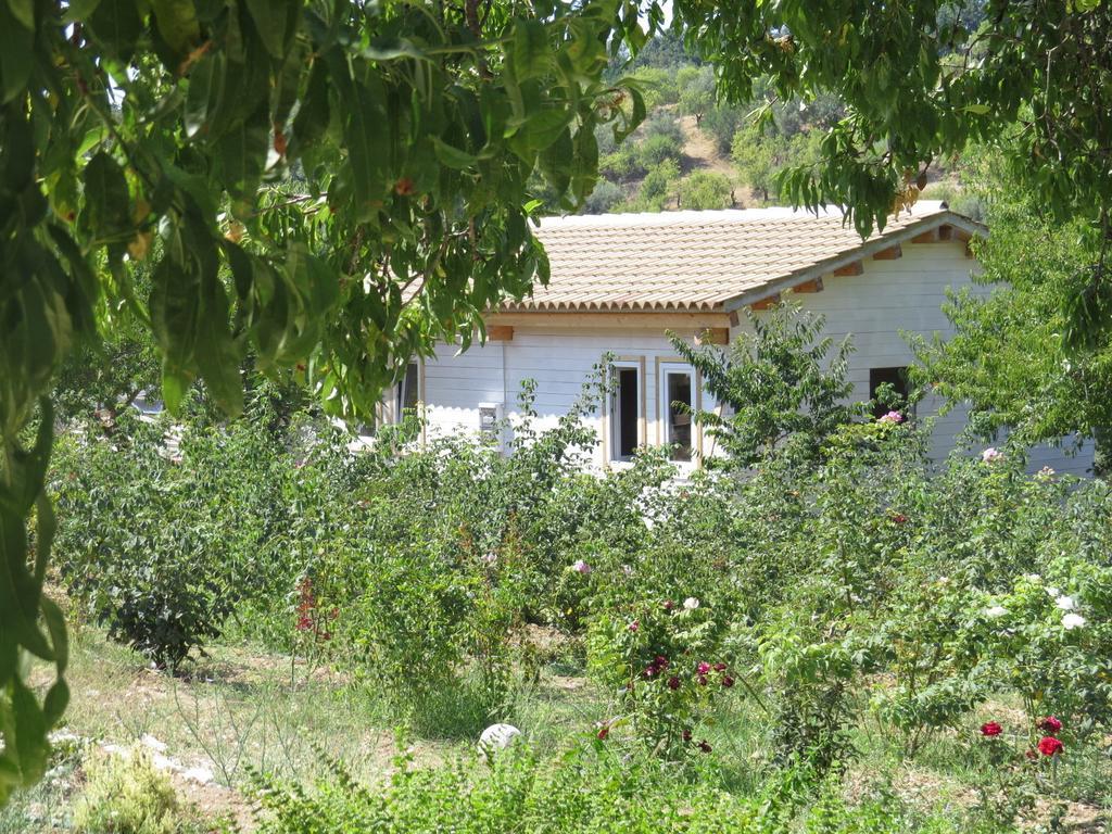 Camping Fiori Di Noto Pokoj fotografie