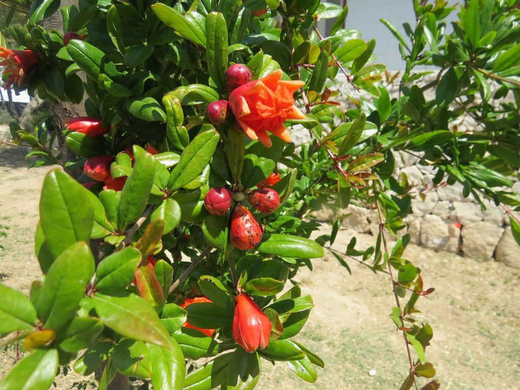 Camping Fiori Di Noto Exteriér fotografie