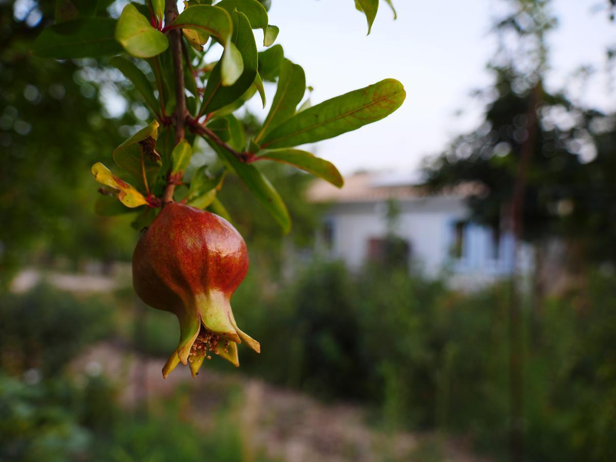 Camping Fiori Di Noto Exteriér fotografie