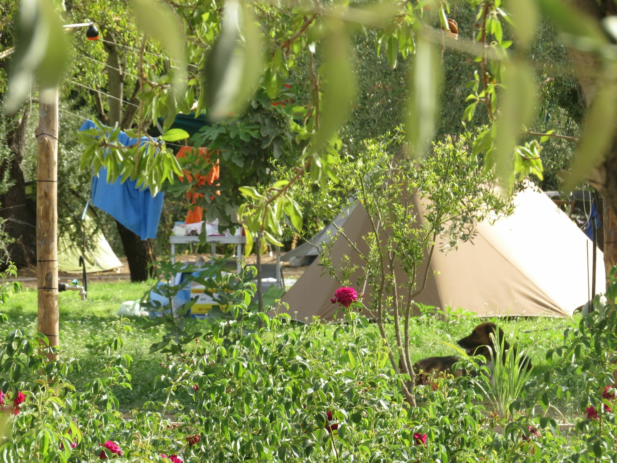 Camping Fiori Di Noto Exteriér fotografie